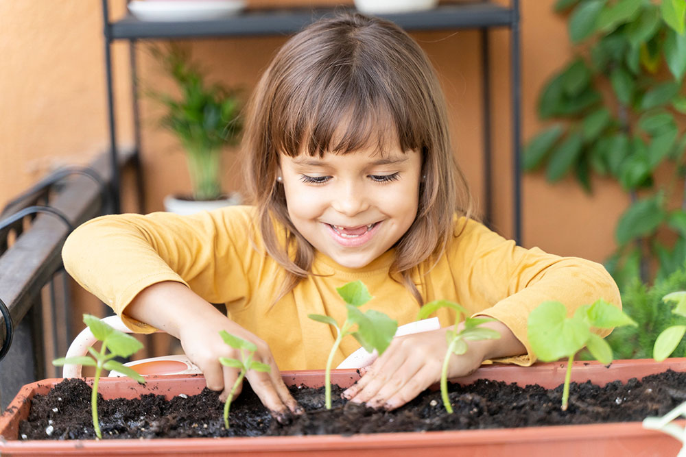 Little girl gardener plants cucumber seedlings at home on the balcony. Child grows seedlings of cucumbers. home garden. Montessori method